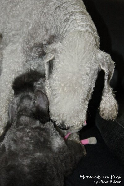 Antares 2009-08-01 & 02 (7).JPG